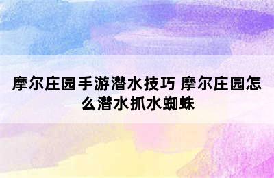 摩尔庄园手游潜水技巧 摩尔庄园怎么潜水抓水蜘蛛